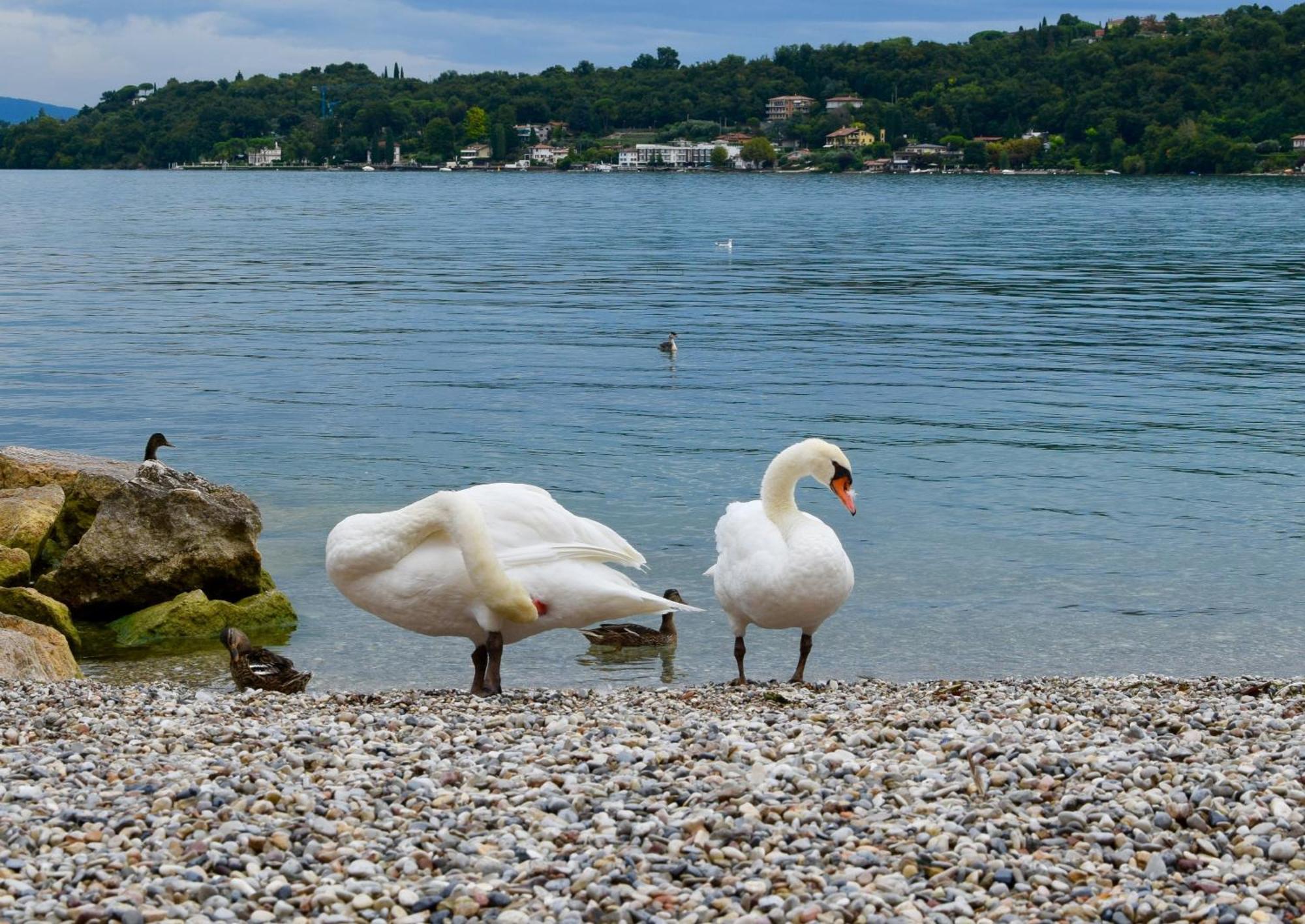 Villa Donne Del Lago Silvia Salò Εξωτερικό φωτογραφία